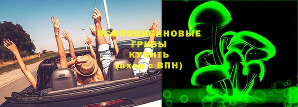 герыч Алексин