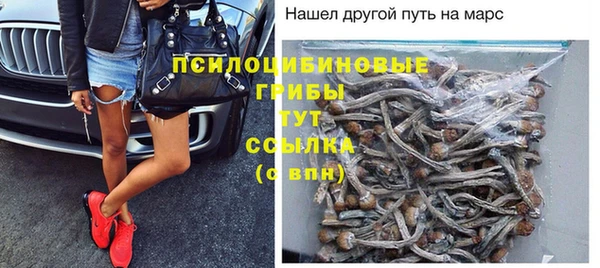 герыч Алексин