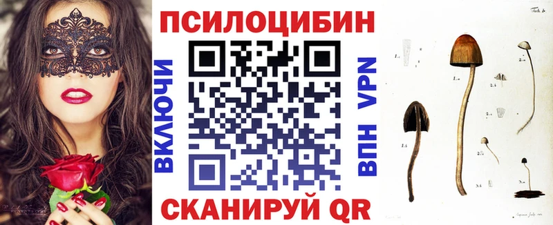 blacksprut вход  закладки  Нарьян-Мар  Галлюциногенные грибы Psilocybe 